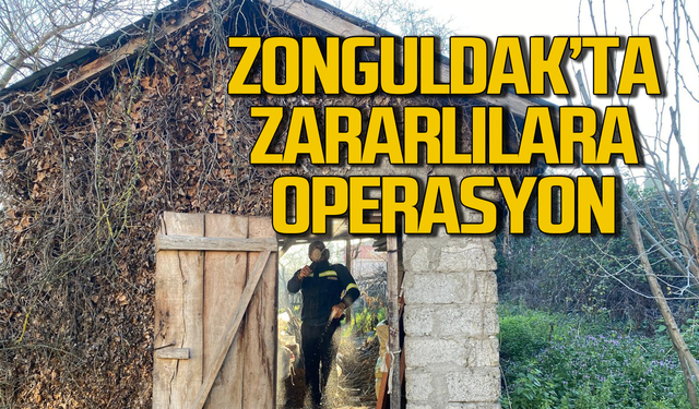 Zonguldak’ta zararlılara operasyon!