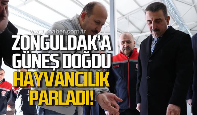 GES Projesiyle Zonguldak'ta hayvancılık sektörü canlanıyor!