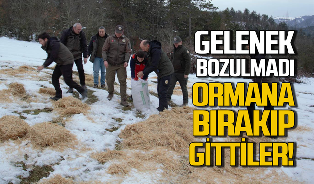 Gelenek bozulmadı: Ormana bırakıp gittiler!