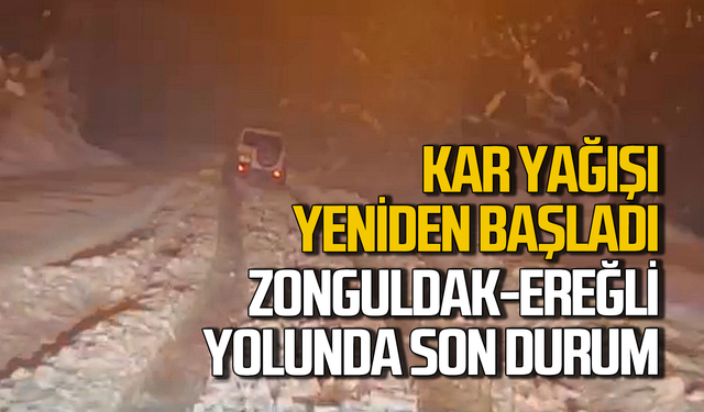 Zonguldak'ta kar yağışı yeniden başladı!