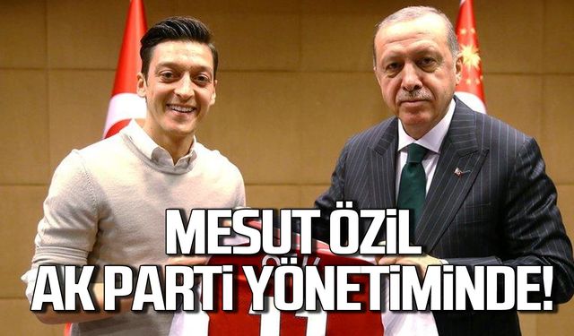 Mesut Özil AK Parti'nin MKYK listesinde!