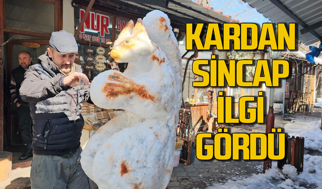 Kardan sincabı görenleri hayran kaldı