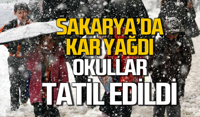 Kar yağışı başladı! Okullar tatil edildi