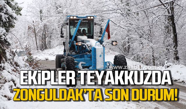 Ekipler teyakkuzda! Zonguldak'ta son durum!