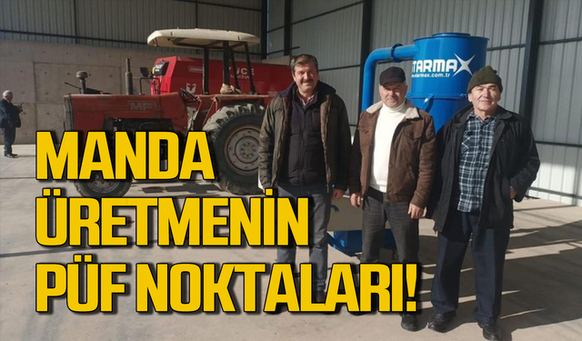 Manda yetiştiriciliği için araştırma başlattılar!