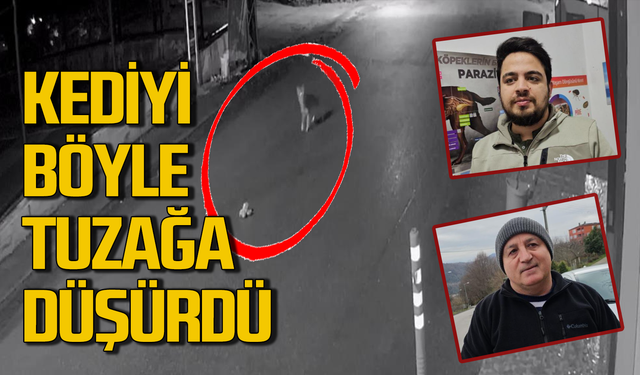 Kediyi tuzağa düşürdü! Kameraya böyle yakalandı