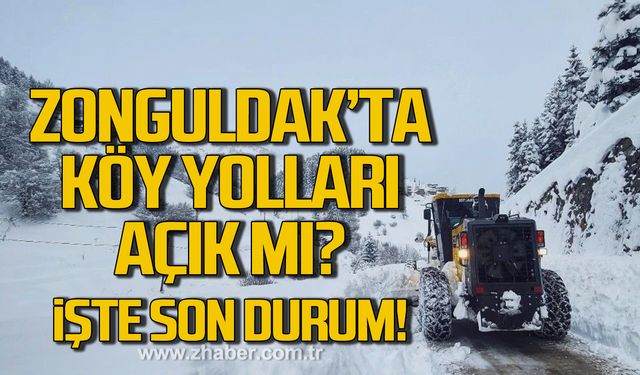 Zonguldak'ta kapalı köy yolu kaldı mı? Son durum!