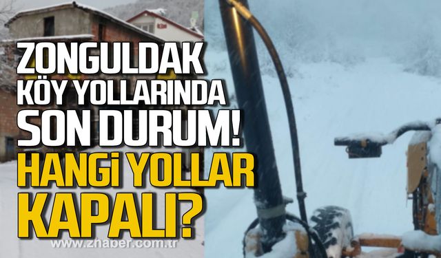 Zonguldak köy yollarında son durum! Hangi yollar kapalı?