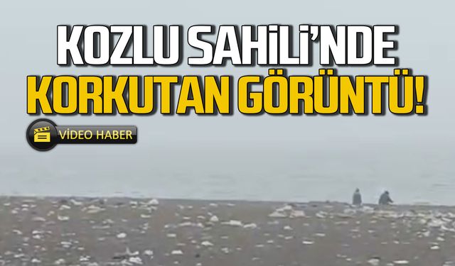 Kozlu Sahili'nde korkutan görüntü!