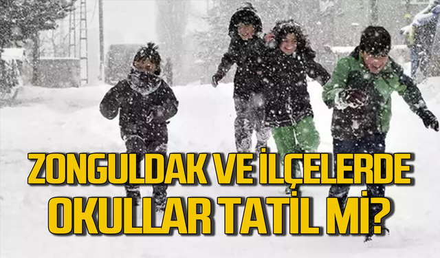 Zonguldak ve ilçelerinde okullar tatil mi?