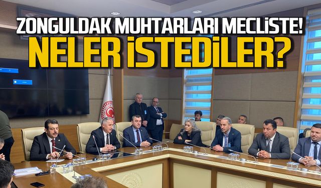 Kdz Ereğli muhtarları TBMM'de neler istedi