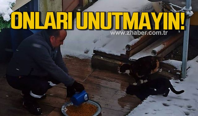 Karlı havalarda sokak hayvanlarını unutmayın!