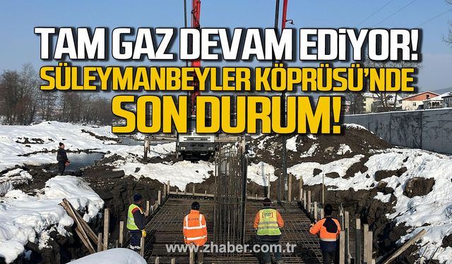 Kdz. Ereğli'de çalışmalar tam gaz devam ediyor! Süleymanbeyler Köprüsü’nde son durum!