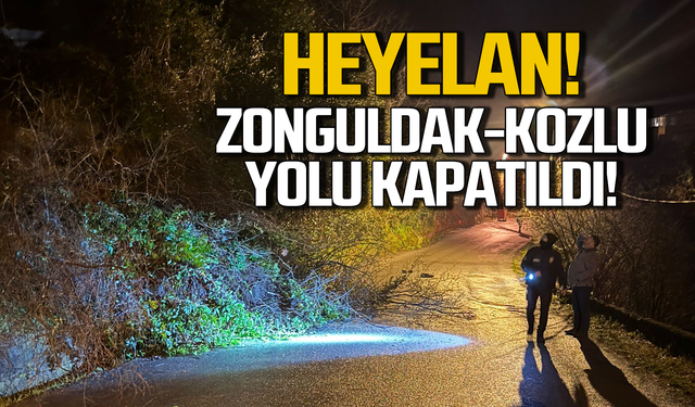 Heyelan! Zonguldak-Kozlu yolu kapatıldı