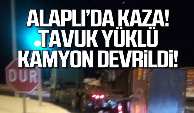 Alaplı'da kaza! Tavuk yüklü kamyon devrildi!