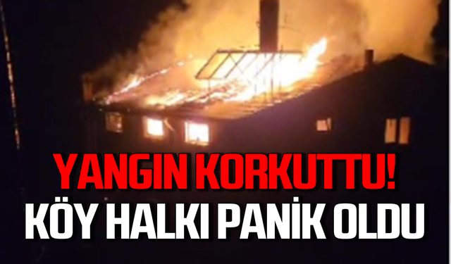 Ereğli'de yangın! Köy halkı büyük panik yaşadı