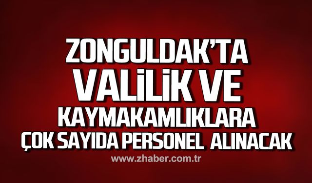 Zonguldak’ta Valilik ve Kaymakamlıklara çok sayıda personel alınacak!