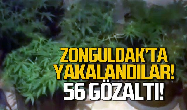 Zonguldak'ta uyuşturucu operasyonu, 56 şüpheli yakalandı!