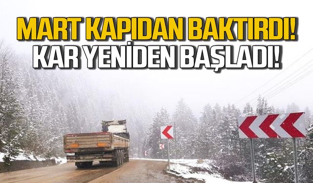 Mart kapıdan baktırdı! Kar yeniden başladı!