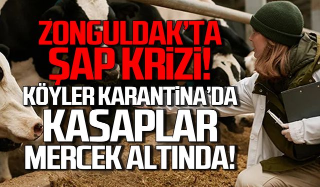 Zonguldak’ta Şap krizi! Kasaplar mercek altında!