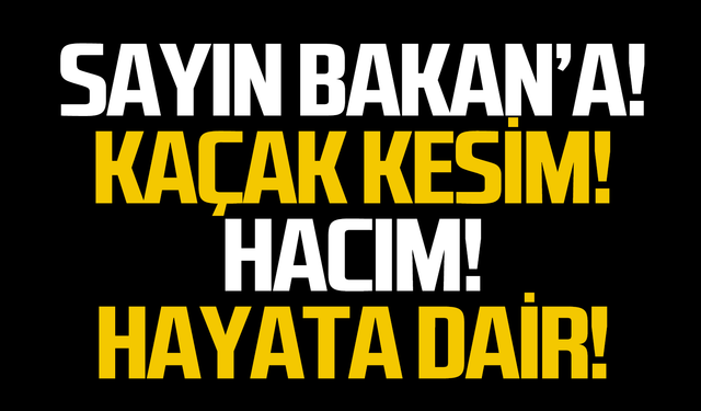 Sayın Bakan'a!