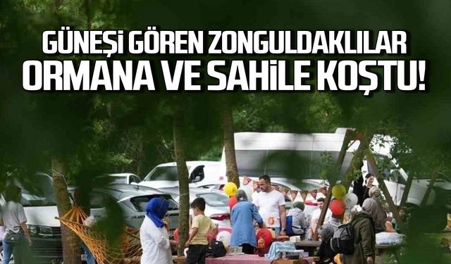 Güneşi gören Zonguldaklılar ormana ve sahile koştu!