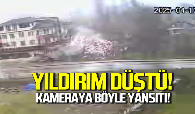 Korkunç anlar: Ağaca düşen yıldırım kamerada