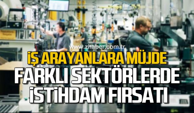 Karabük'te iş arayanlara müjde! Farklı sektörlerde istihdam fırsatı!