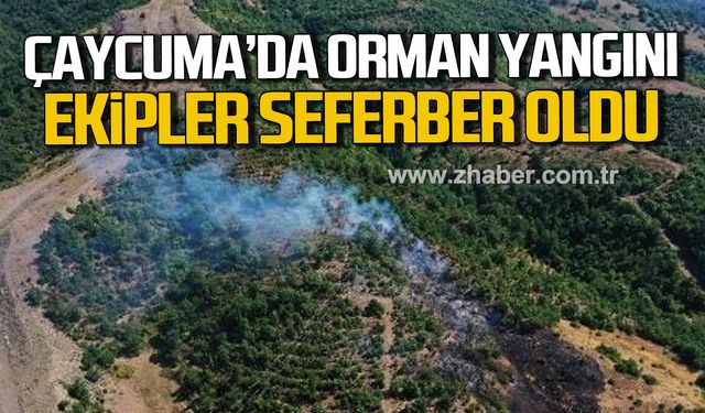 Çaycuma'da orman yangını! Ekipler seferber oldu!