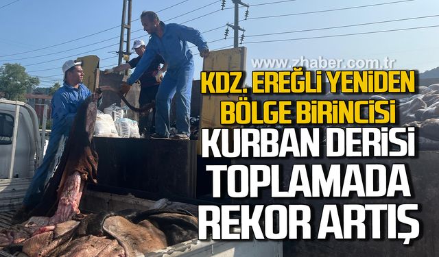 Kdz. Ereğli yeniden bölge birincisi! Kurban derisi toplamada rekor artış!