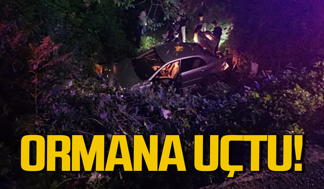 Ereğli’de kontrolden çıkan araç ormana uçtu!