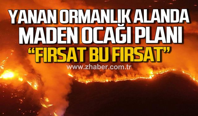Bursa'da yanan ormanlık alanda maden ocağı planı! "Fırsat bu fırsat"