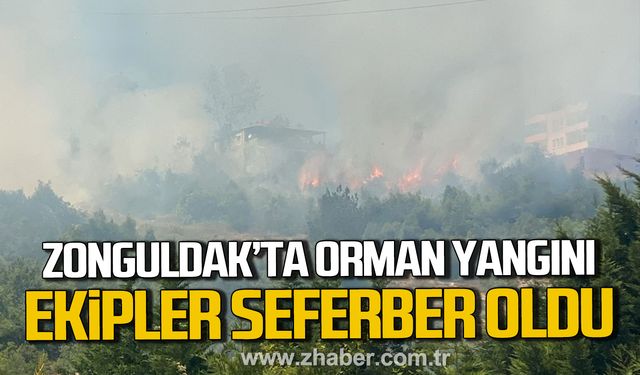 Zonguldak'ta orman yangını! Ekipler seferber oldu!