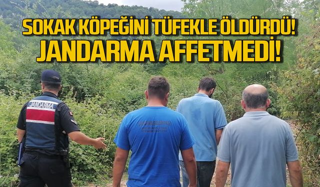 Sokak köpeğini tüfekle öldürdü! Jandarma affetmedi!
