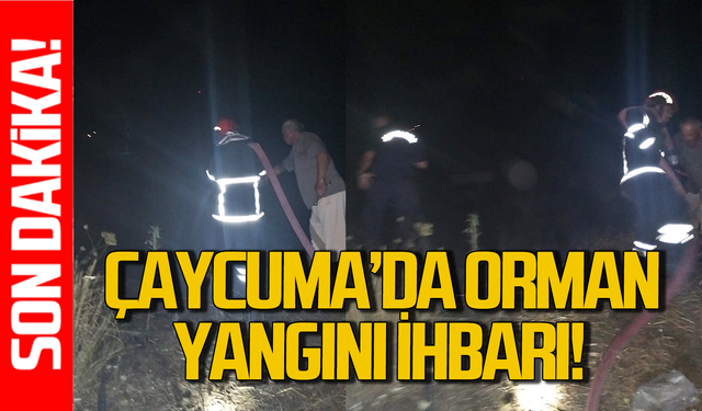 Çaycuma’da orman yangını: İtfaiye alarma geçti!
