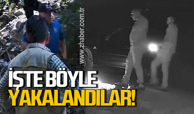 Boz ayı avlayan 2 kişi ilginç şekilde yakalandı!
