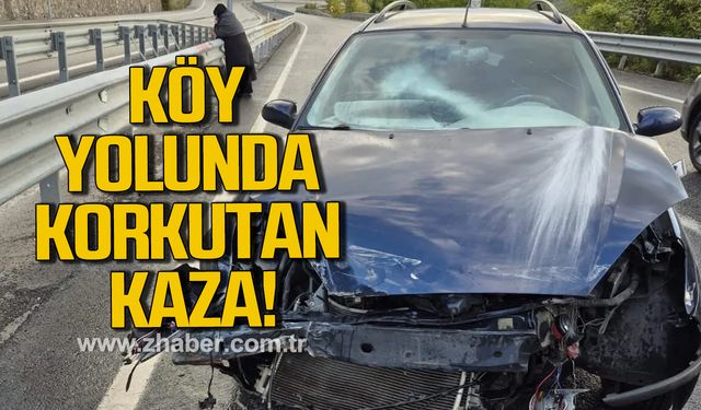 Köy yolunda korkutan kaza!