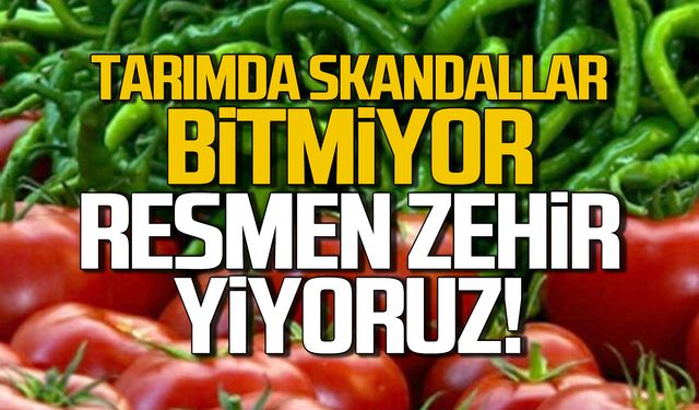 Tarımda skandallar bitmiyor… Resmen zehir yiyoruz!