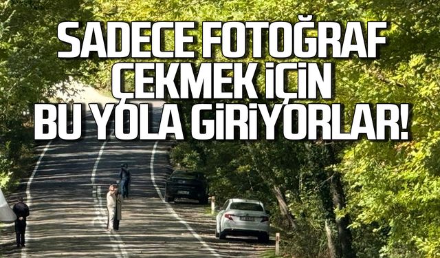 Bartın Karabük arasında... Sadece fotoğraf çekilmek için bu yola giren var!