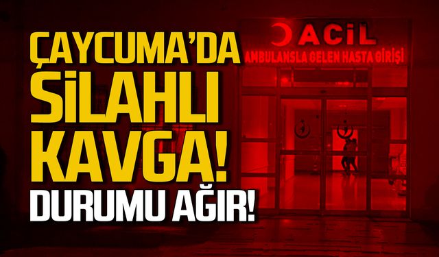 Çaycuma'da silahlı kavga! Durumu ağır!