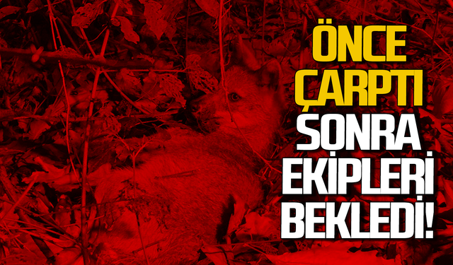 Bartın'da ilginç kaza: Önce çarptılar sonra ekipler gelene kadar beklediler!