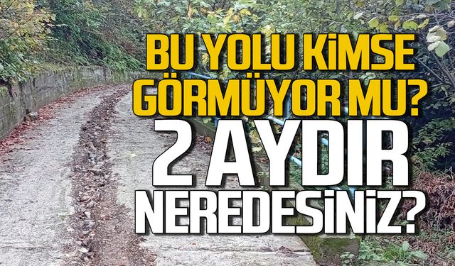 Bu yolu kimse görmüyor mu? 2 aydır neredesiniz?