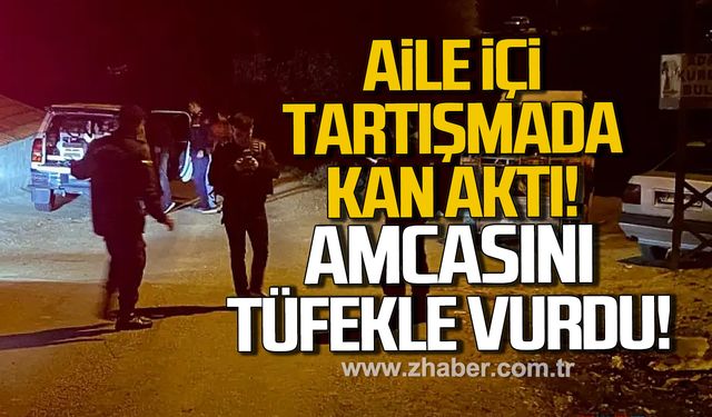 Aile içi tartışmada kan aktı: Amcasını tüfekle vurdu!