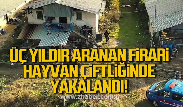 Üç yıldır aranan firari hayvan çiftliğinde yakalandı!