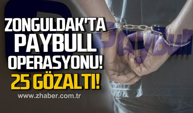Zonguldak'ta paybull operasyonu! 25 gözaltı!