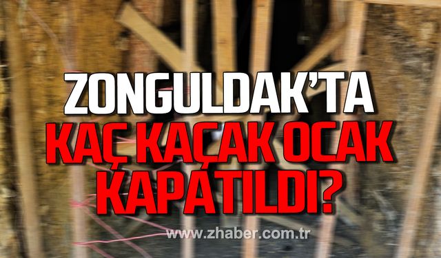 Vali Hacıbektaşoğlu açıkladı! Zonguldak'ta kaç kaçak ocak kapatıldı?