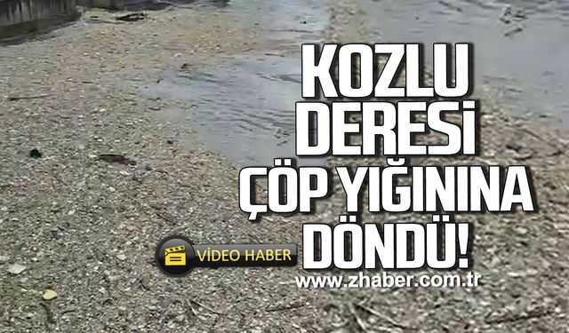 Kozlu deresi çöp yığınına döndü!