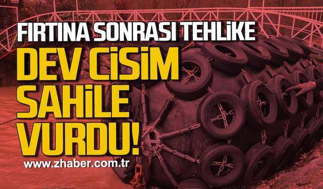Zonguldak'ta köprüyü tehdit eden dev cisim sahile vurdu!