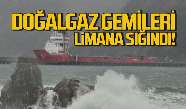 Doğalgaz çalışması yapan gemiler limana sığındı