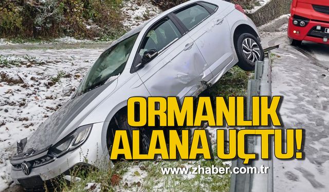 Alaplı’da otomobil yoldan çıktı